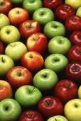 Fresh Apples, Color : Red