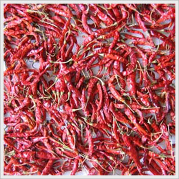 Red Guntur Chilli