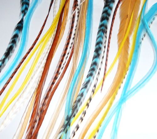 Peacock & Ostrich Feathers