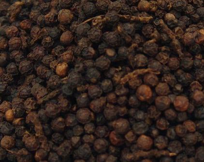 Black Pepper Seeds