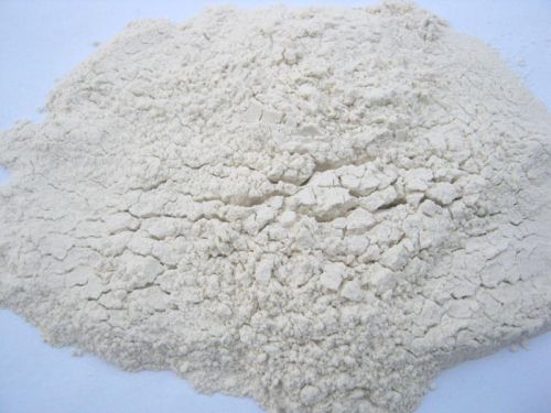 White Onion Powder