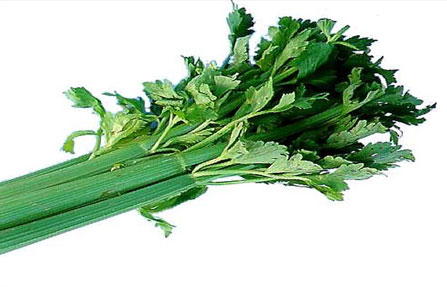 Natural Fresh Celery, Feature : Full With Iron, Good For Health, High In Vitamin D, Nutritious, Protein