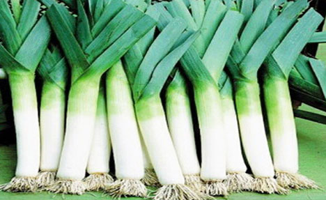 Fresh Leeks