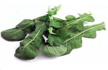 Fresh Roquette Lettuce