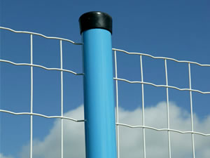 Wire Mesh Fence
