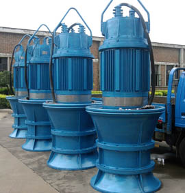 Submersible Axial Flow Pump