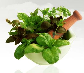 Herbal Hair Care Henna