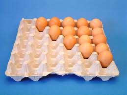 Plain Paper Egg Tray
