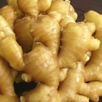 Organic Fresh Ginger, For Cooking, Feature : Handpicked From The Farm, High Quality Packaging, Reasonable Price