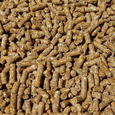 Cattle Feed Pellet