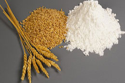 Refined Wheat Flour