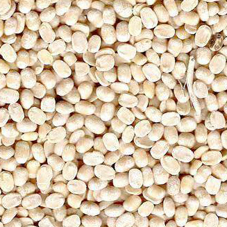 Urad dal, Cultivation Type : Natural