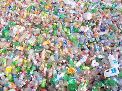 PET Bottle Scrap