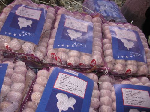 Garlic, Number Of Flower : Vegetable