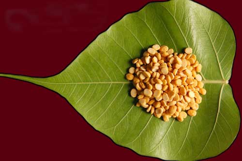 Chana Dal