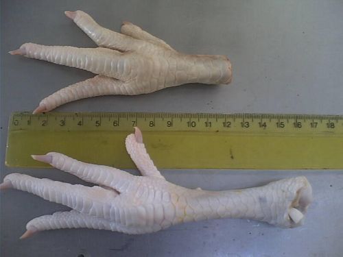Frozen chicken feet, Part : Feet