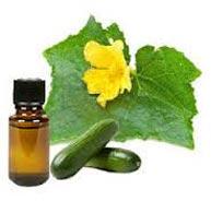 Cucumber Carrier Oil