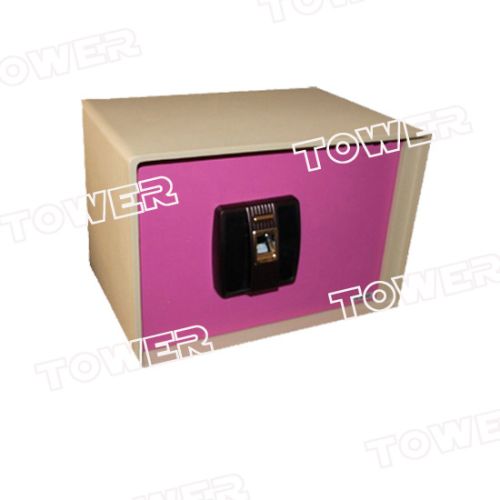 Fingerprint Safes
