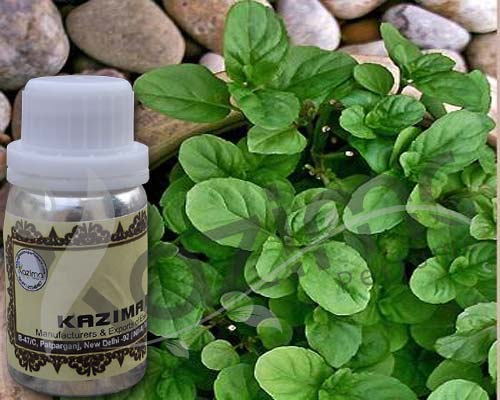 Bergamot Mint Oil