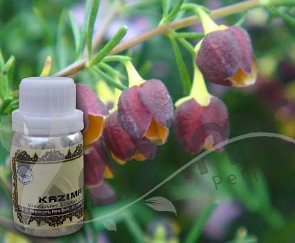 Boronia Absolute Oil