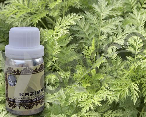 Kazima Perfumers Wormwood Oil