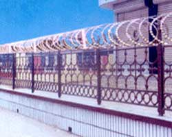 Concertina Wire
