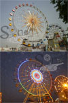 Amusement Park Rides, Brand Name : SINOFUN