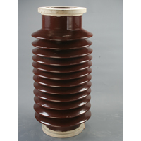 Bushing Insulator