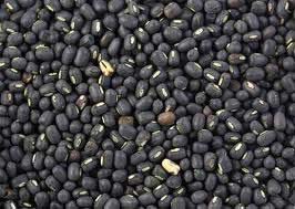 Organic Blended Black Mung Beans, Packaging Type : Vacuum Packed