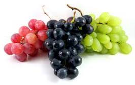 Organic Fresh Grapes, Packaging Size : 10-20kg