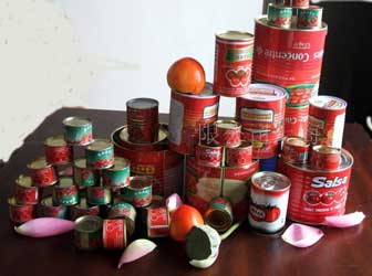Tomato paste, Brand Name : Wuzhouxing/Yangyuan Palace/OEM