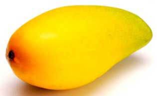 Fresh Alphonso Mango