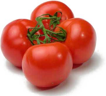 Fresh tomato, Storage Condition : Natural