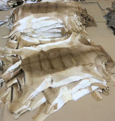 Animal Skin Full, Purity : 100% for Leather