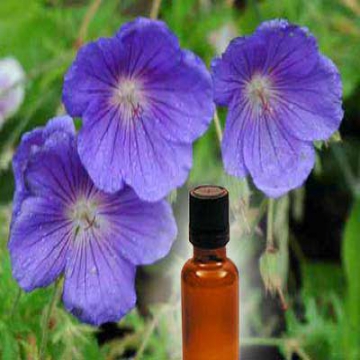 Geranium Oil, Purity : 100 %