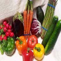 Fresh Vegetables