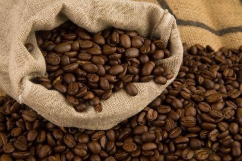 Coffee Beans (Arabica ) For Sale