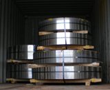 Stainless Steel Coil
