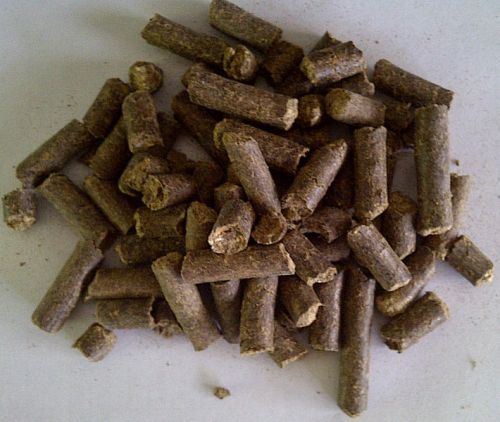 Biocoal Pellet