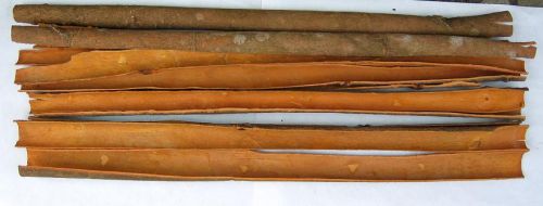 Cinnamon, Supply Type : Manufacturer