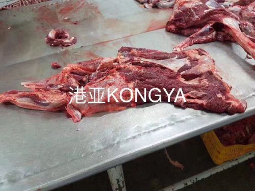 Frozen Donkey Meat, Condition : Fit for human consumption