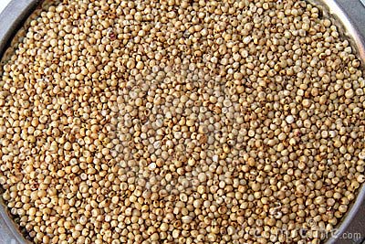 Jowar Seeds