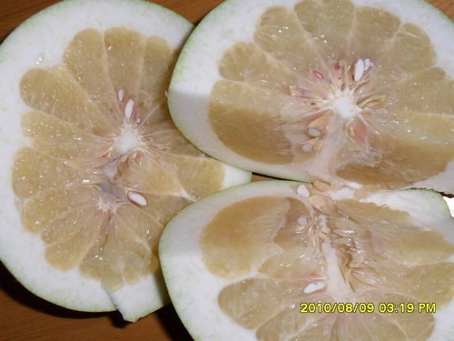 Chinese Guanxi Honey Pomelo