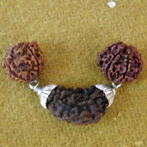 Rudraksha Pendant, Size : 0-15mm, 15-30mm, 30-45mm