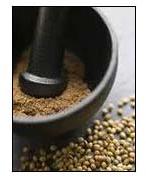 Coriander seeds, Specialities : Good Quality