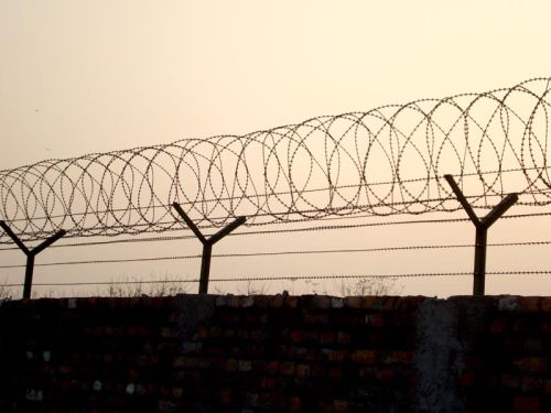 Concertina Razor Wire