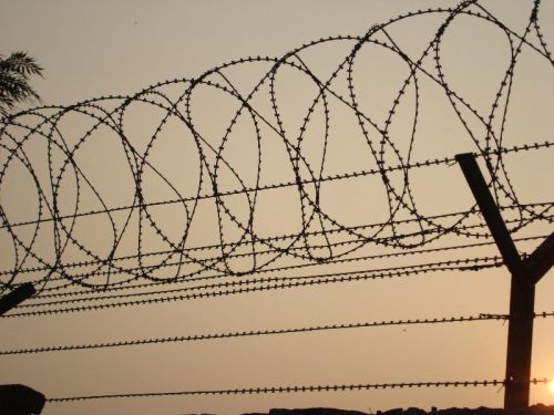 Galvanized Concertina Wire Fencing, Razor Type : 12 M.M.