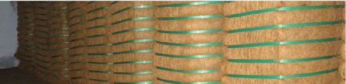 Coir Fibre