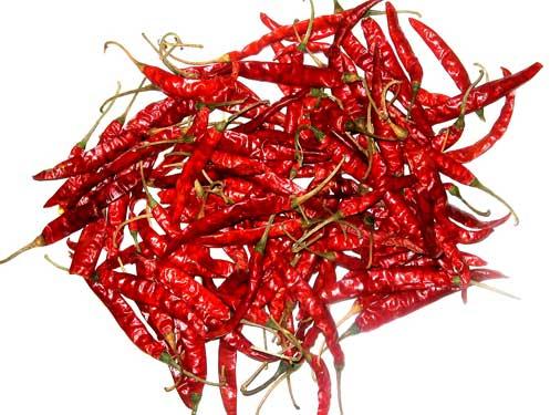 Dried Red Chillies