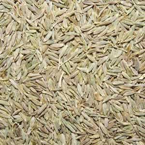 Cumin Seeds